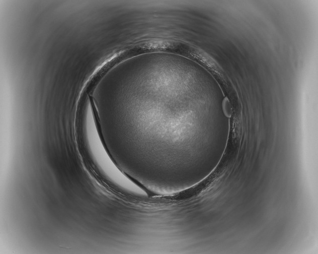 X0000086880722200704300936