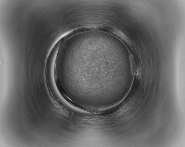 X0000086880724200704300936