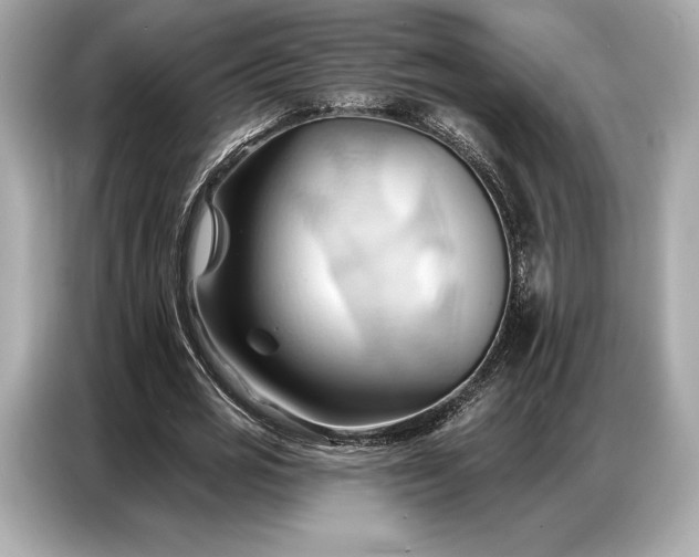 X0000086880725200704300936