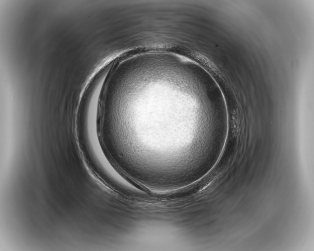 X0000086880726200704300936