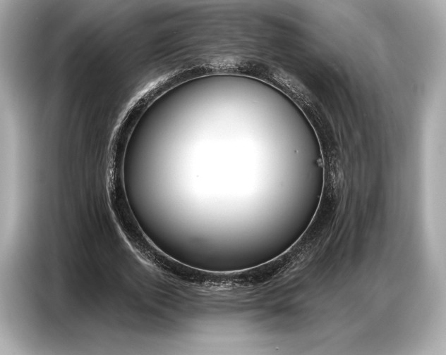 X0000086880728200704300936