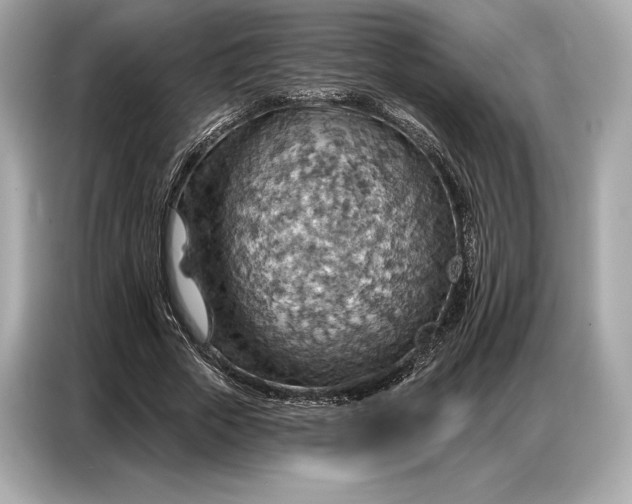 X0000086880729200704300936