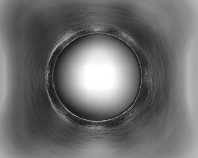 X0000086880730200704300936