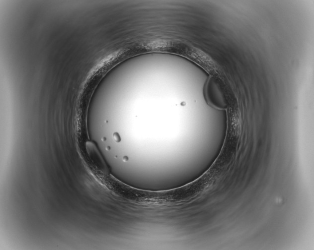 X0000086880732200704300936