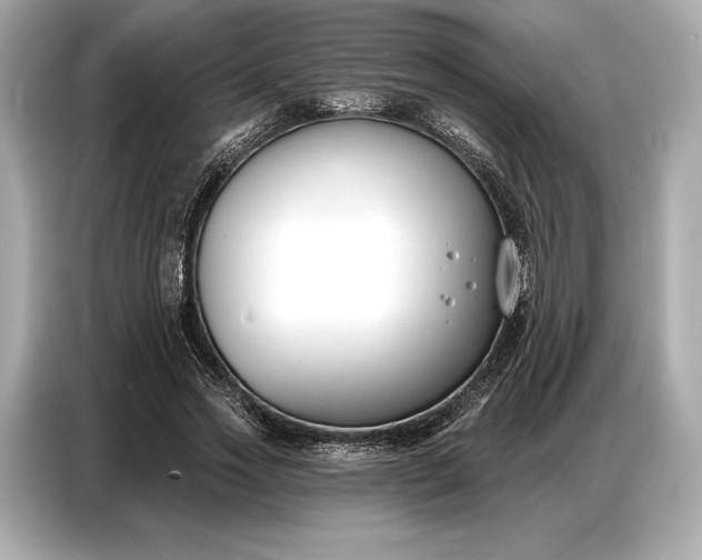 X0000086880733200704300936