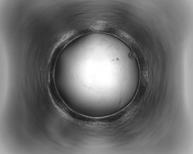 X0000086880734200704300936