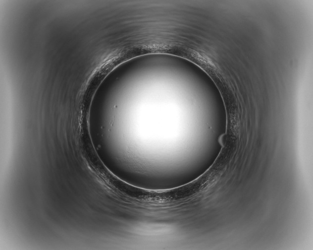 X0000086880735200704300936