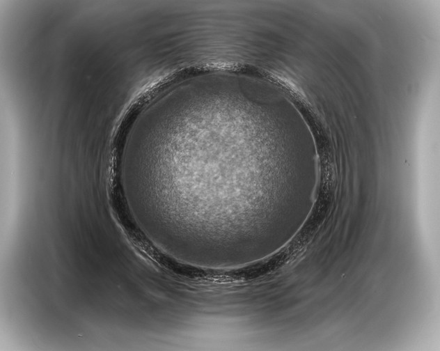 X0000086880736200704300936