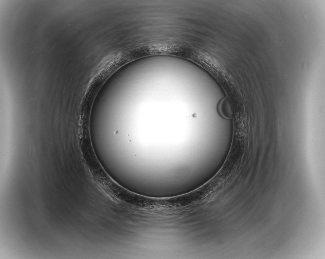 X0000086880738200704300936