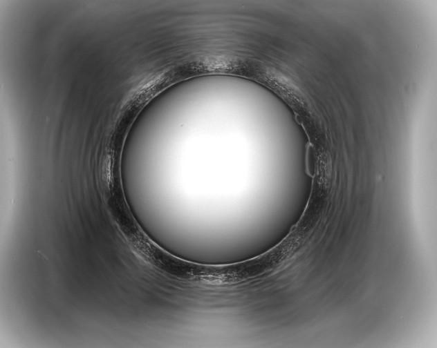 X0000086880740200704300936