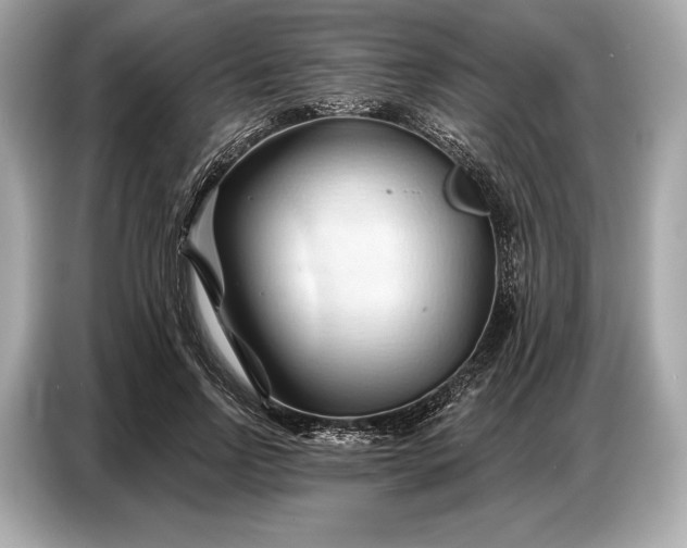 X0000086880742200704300936