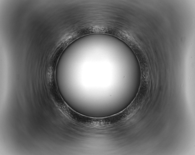 X0000086880744200704300936