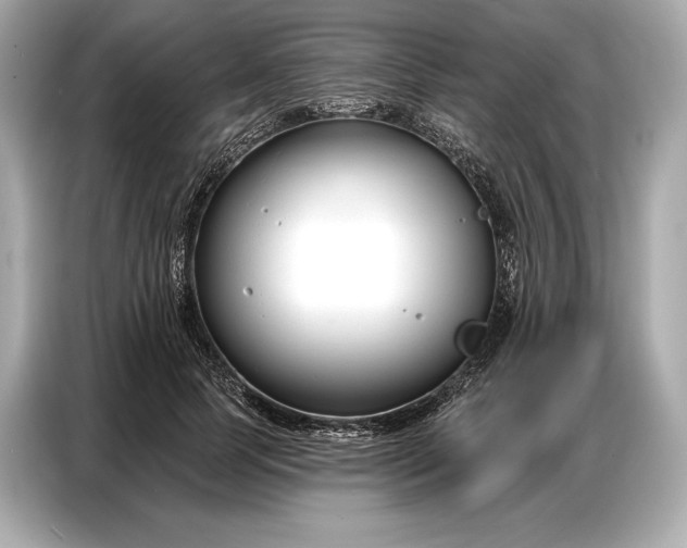 X0000086880745200704300936