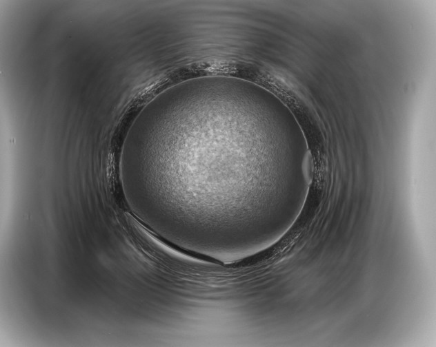 X0000086880748200704300936