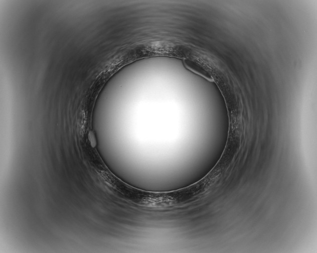 X0000086880752200704300936