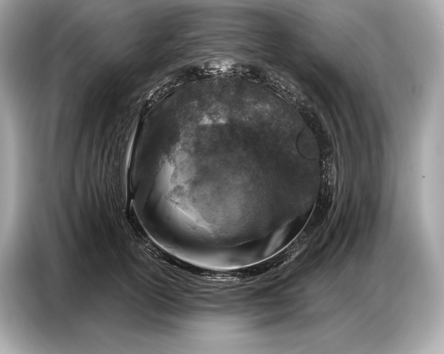 X0000086880754200704300936