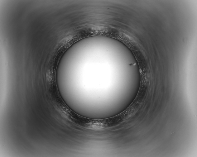 X0000086880756200704300936