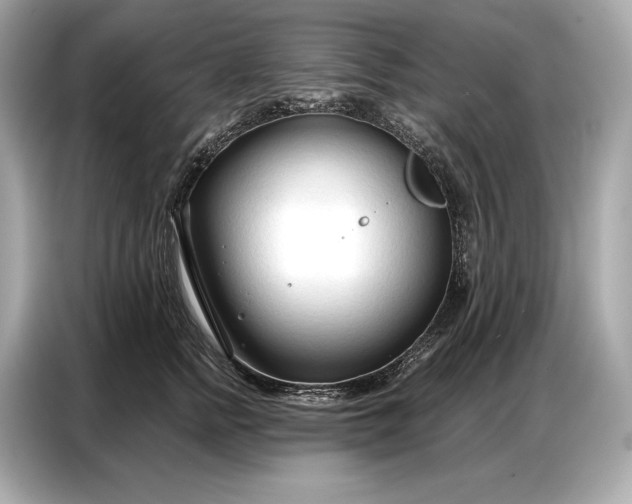 X0000086880758200704300937