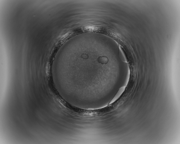 X0000086880760200704300937