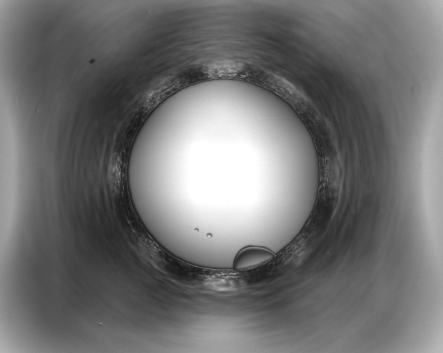 X0000086880761200704300937