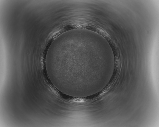 X0000086880762200704300937