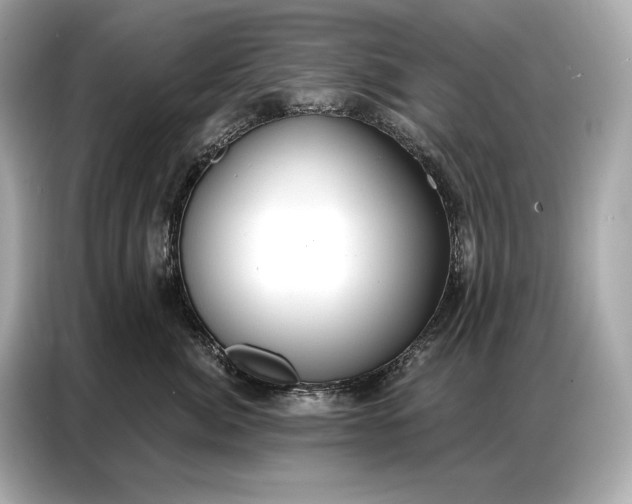 X0000086880764200704300937