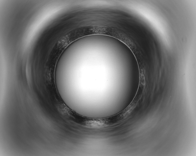 X0000086880765200704300937