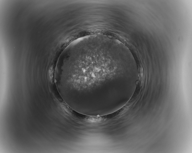 X0000086880767200704300937