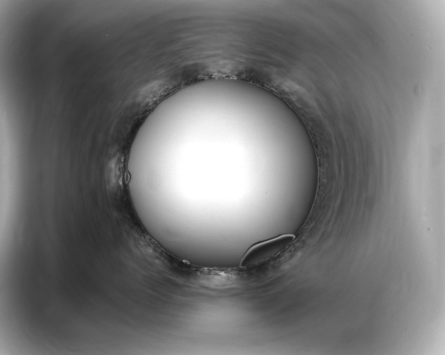 X0000086880768200704300937