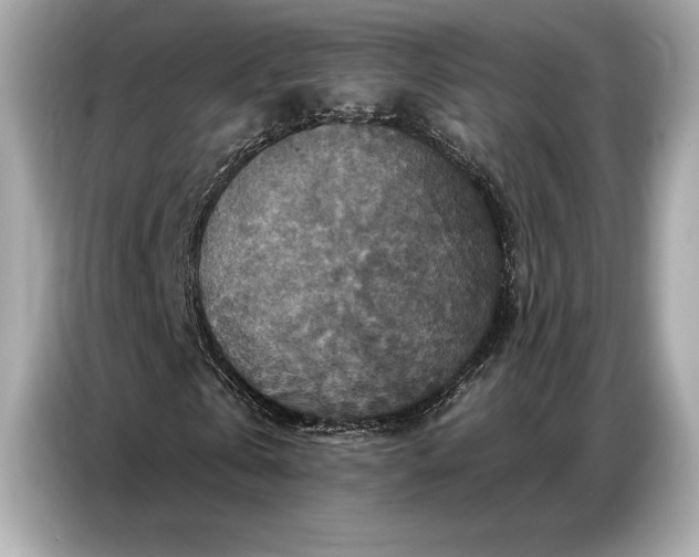 X0000086880769200704300936