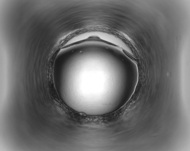 X0000086880775200704300936