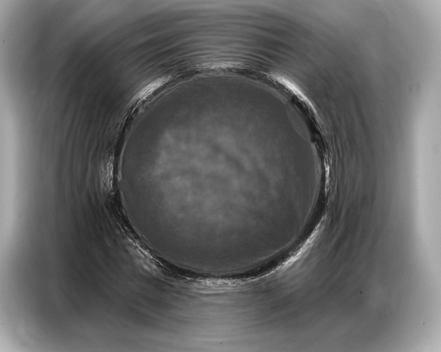 X0000086880777200704300936