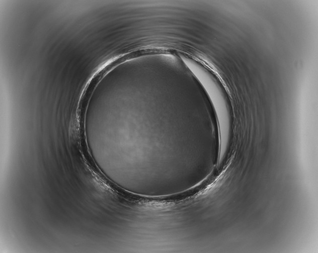 X0000086880779200704300936