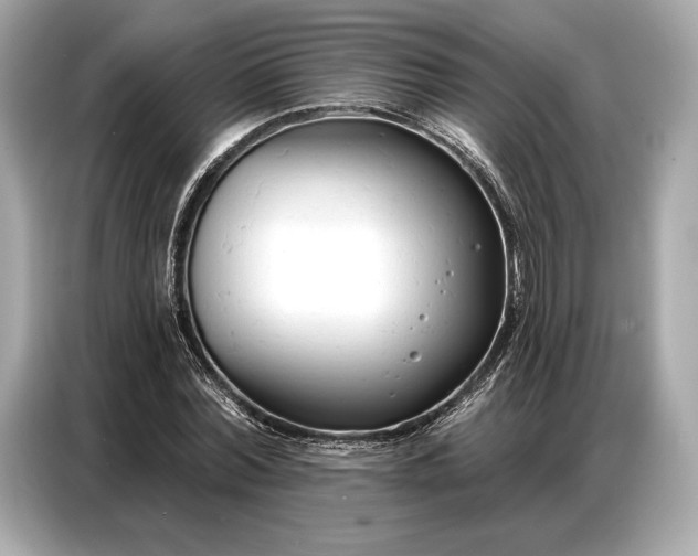 X0000086880780200704300936