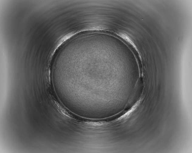 X0000086880781200704300936