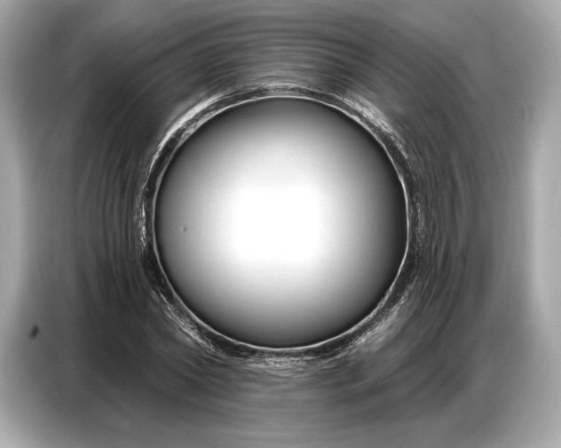 X0000086880782200704300936