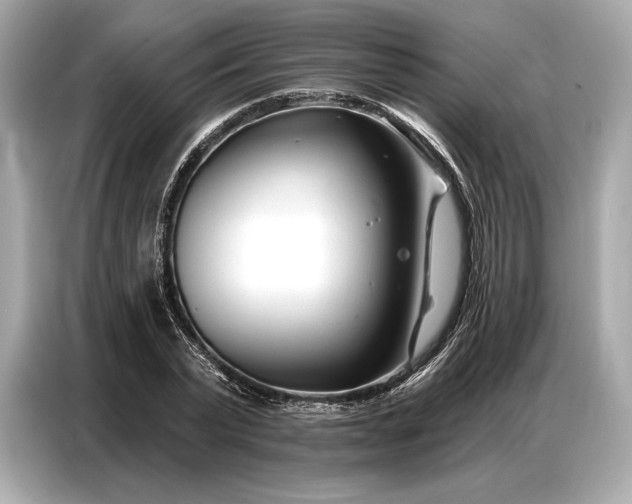 X0000086880783200704300936