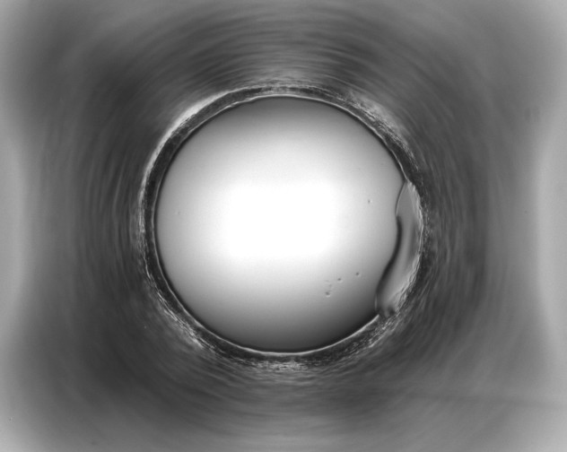 X0000086880784200704300936