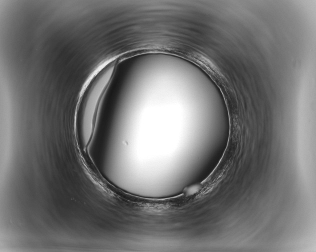 X0000086880788200704300936