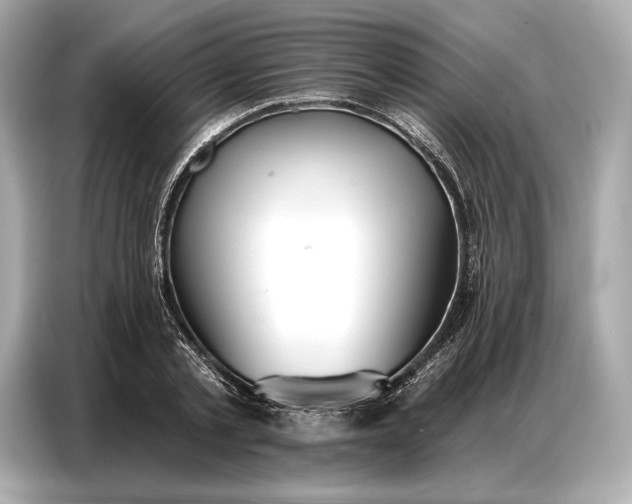 X0000086880789200704300936