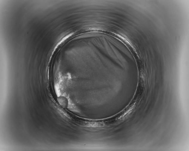 X0000086880790200704300936