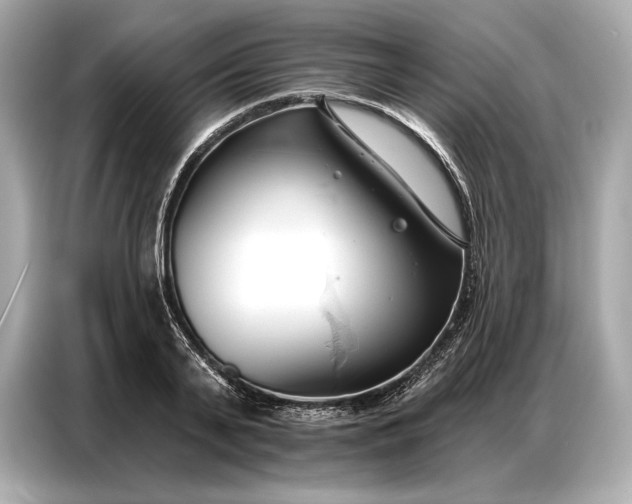 X0000086880791200704300936