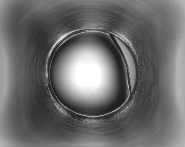 X0000086880792200704300936