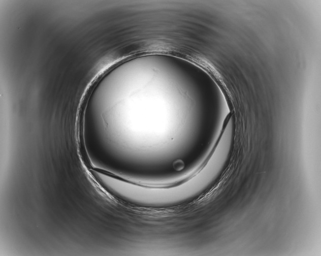 X0000086880795200704300936