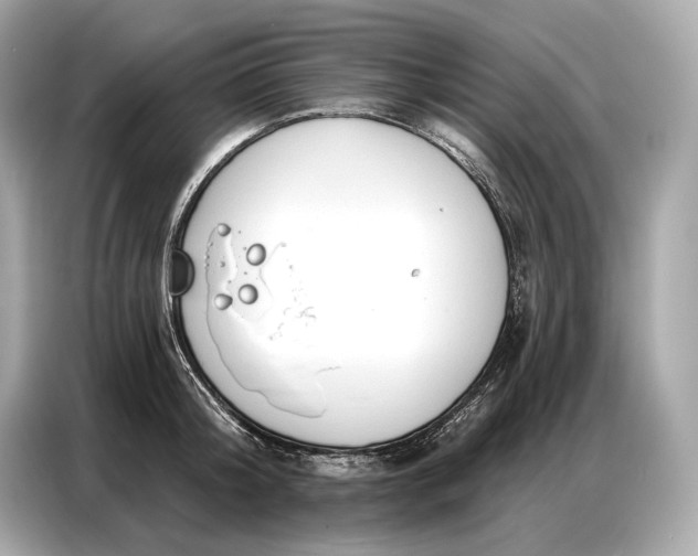 X0000086880804200704300936