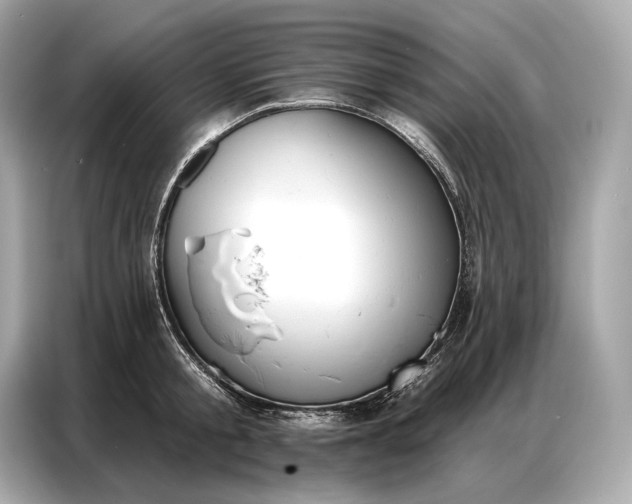 X0000086880805200704300936