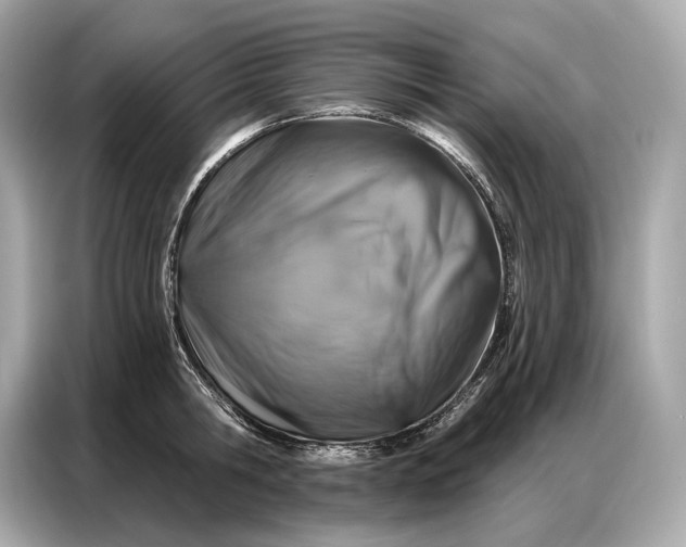 X0000086880806200704300936