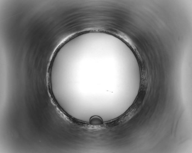 X0000086880807200704300936