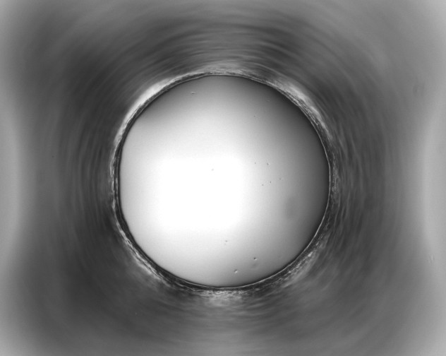 X0000086880808200704300936