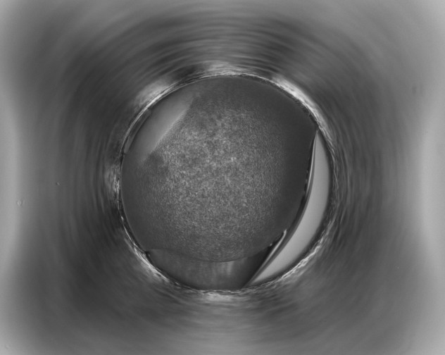 X0000086880809200704300936